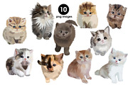 Cute Kittens, an Animal Illustration by Malena (Thumbnail 2 of 4)