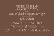 Casselin Modern Serif Font, a Serif Font by Letterena Studios (Thumbnail 13 of 15)