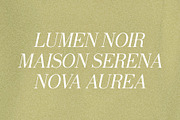 Veloura Serif Font, a Serif Font by Stripes Studio (Thumbnail 6 of 15)