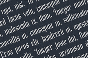 Shamhock, a Sans Serif Font by LetterStock (Thumbnail 4 of 6)