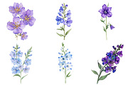 Larkspur Flower Watercolor Cliparts, an Illustration by Watercolor design (Thumbnail 4 of 4)