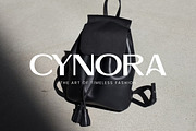Linearity Modern Logo Font, a Sans Serif Font by Letterhend Studio (Thumbnail 7 of 11)