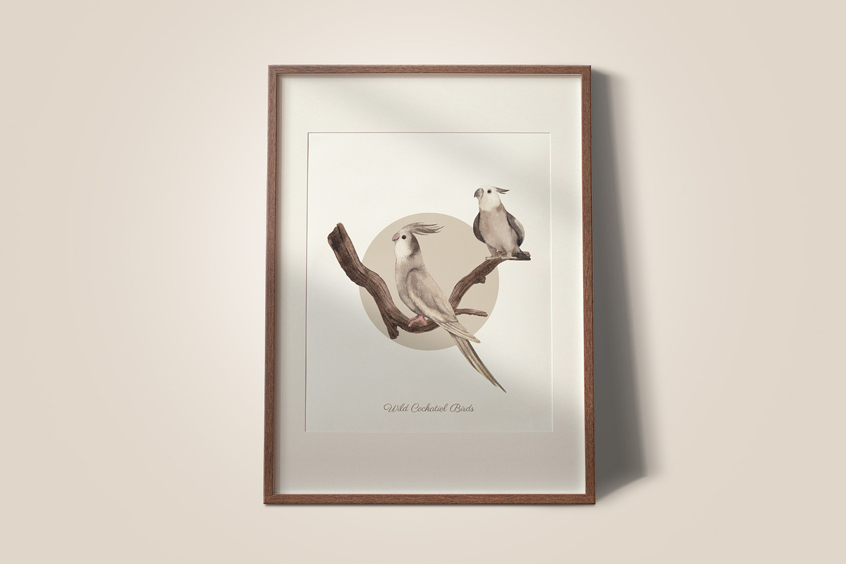 Cockatiel Birds Watercolor, an Animal Illustration by CreativeValuation (Photo 7 of 15)