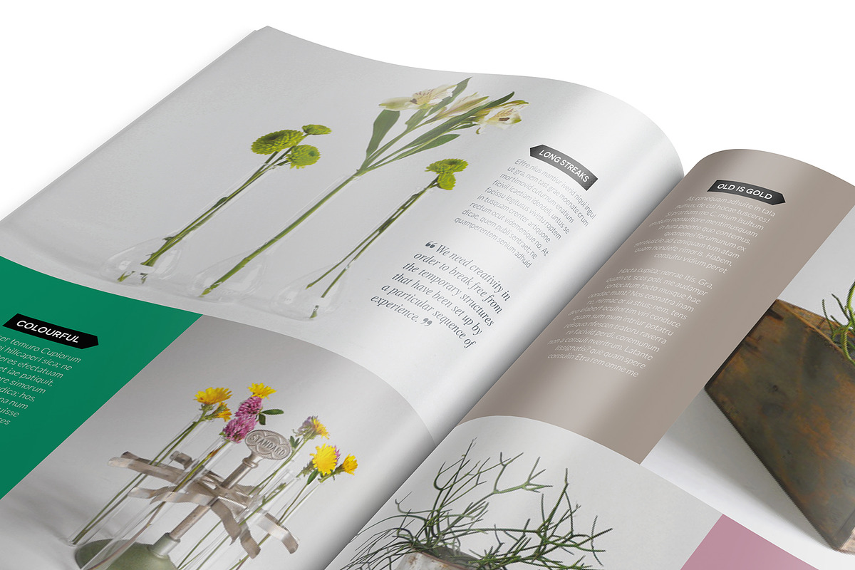 Magazine Template InDesign 16, a Magazine Template by Love Graphic Design (Photo 5 of 20)