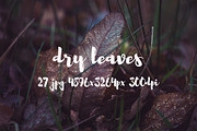 Dry leaves, a Templates & Theme by ApertureVintage (Thumbnail 12 of 16)