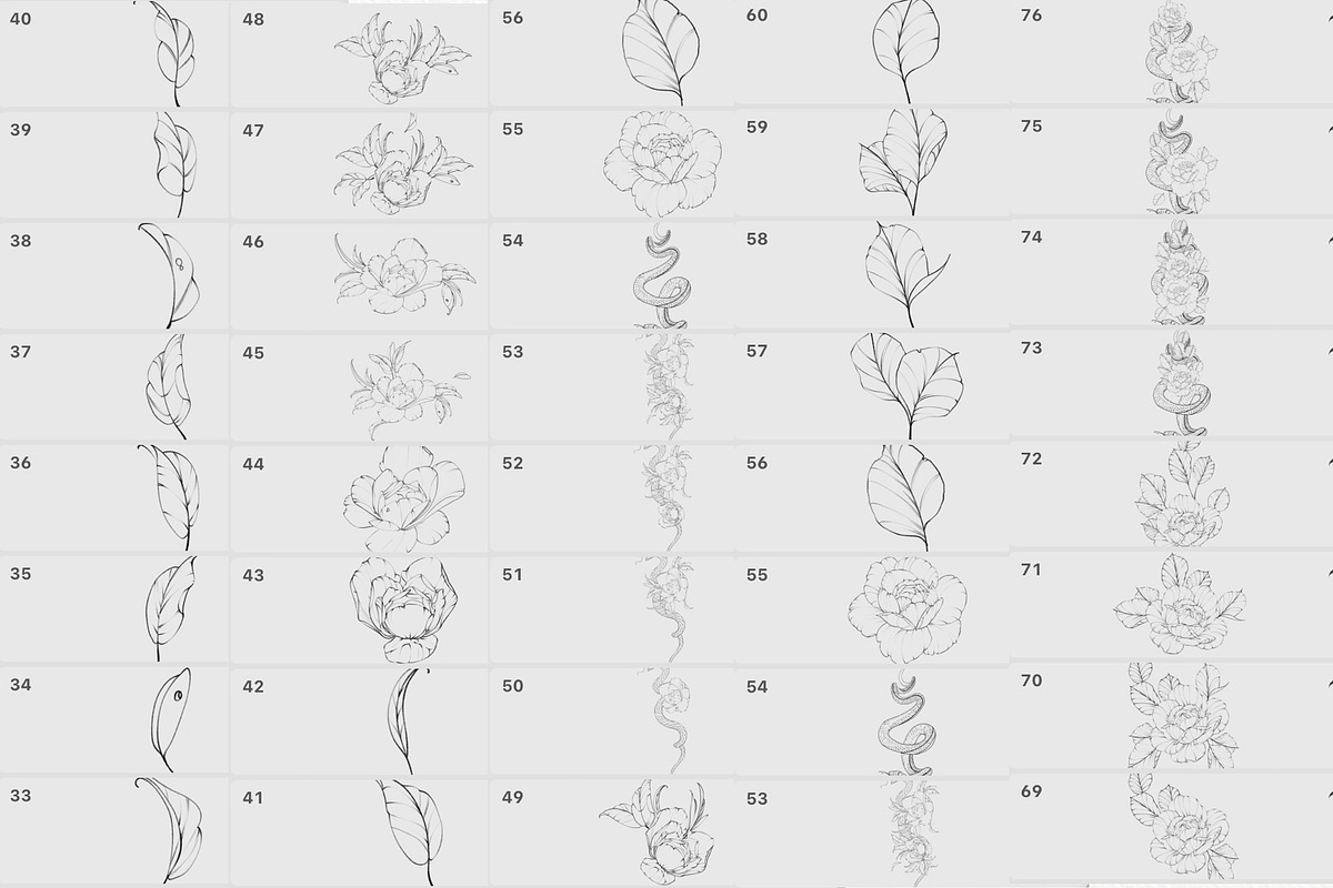 Procreate Snake stamps with flowers., a Brush Add-On by AnnaPolitmerskaja (Photo 5 of 8)
