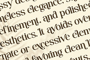 Vonza Regalia – Luxury Serif Duo Fon, a Sans Serif Font by Flawless And Co (Thumbnail 8 of 10)