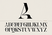Fashion Norsa - Modern Branding Logo, a Serif Font by Nirmana Visual (Thumbnail 6 of 10)