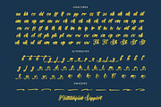 Halfway Ferald Bold Calligraphy Font, a Script Font by stylishtype.co (Thumbnail 19 of 20)