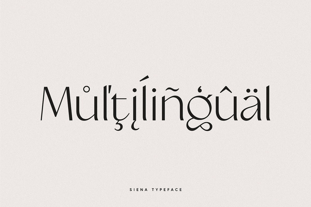 Siena Typeface, a Sans Serif Font by Ivan Rosenberg (Photo 13 of 16)