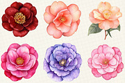Camellia Flower Bloom Clipart, an Illustration by OK Design (Thumbnail 5 of 5)