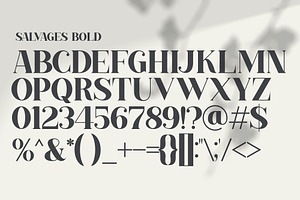 SALVAGES BOLD SERIF FONT