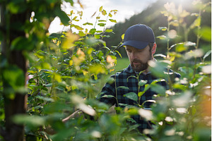 Farmer working in orchard inspecting, a Person Photo by HalfPoint