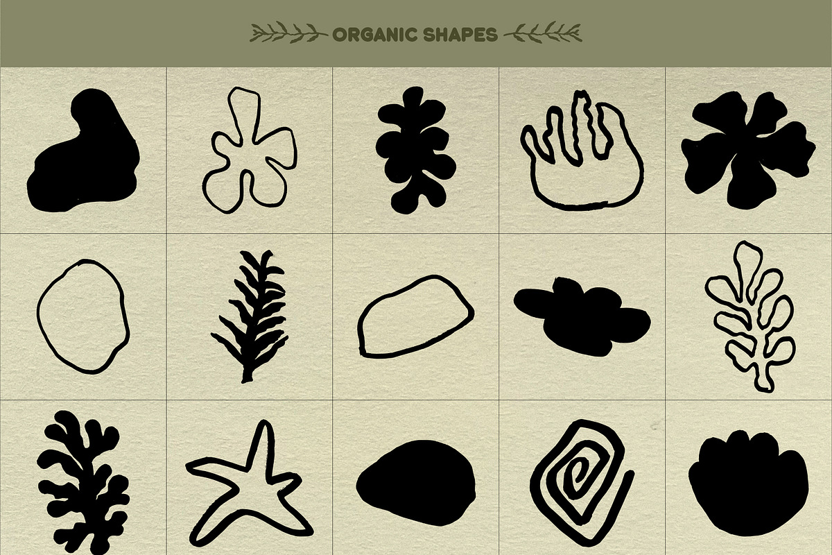 Botanical Vibes: 120 Floral Elements, an Object Illustration by Sheikhadesign (Photo 10 of 15)