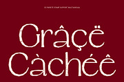 CS Parsite Stamp, a Serif Font by Craft Supply Co. (Thumbnail 7 of 8)