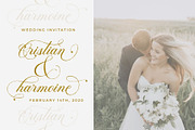 Analogous | Elegant Calligraphy, a Script Font by Analogous (Thumbnail 10 of 14)