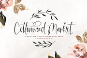 Cottonwood Market Typeface, a Script Font by Callie Rian & Co. (Thumbnail 1 of 18)
