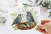 Starling family, spring bird, plants, an Animal Illustration by Artmanata (Thumbnail 10 of 16)