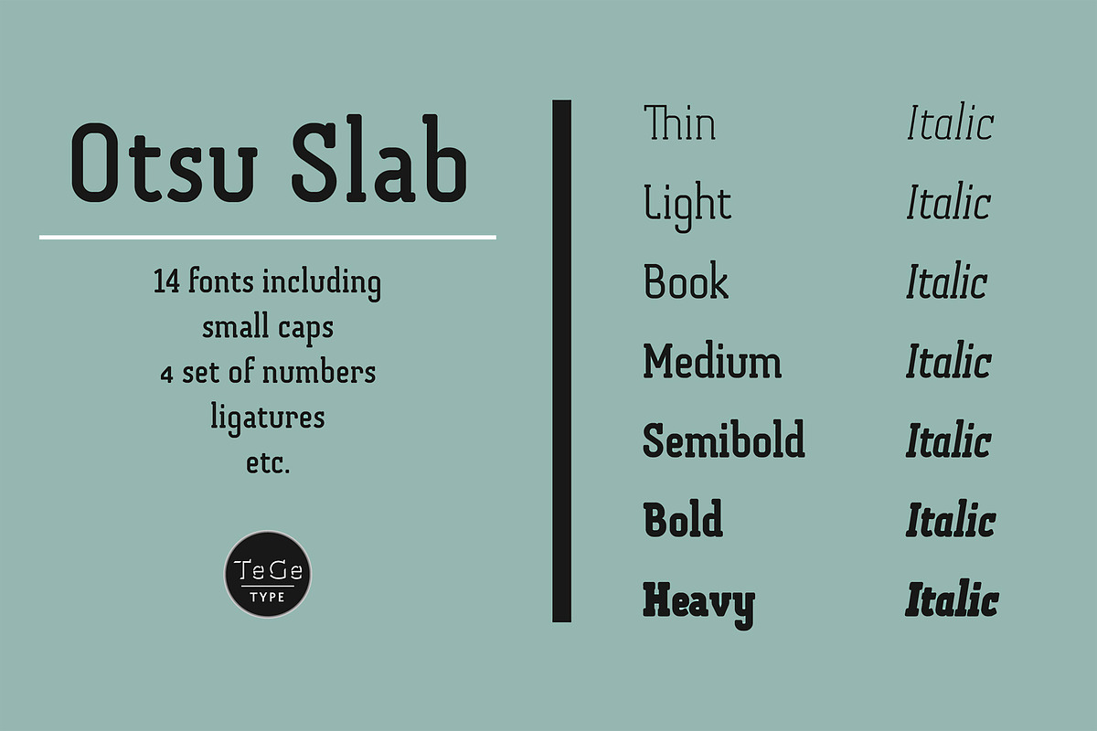 Otsu Slab, a Slab Serif Font by TeGeType foundry (Photo 4 of 6)