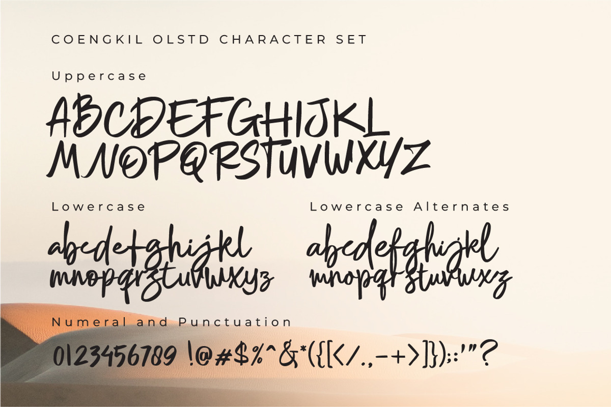 Mollita Olstd - Handwriting Script, a Script Font by Olexstudio (Photo 6 of 7)