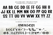 Summer Beach, a Serif Font by FreshTypeINK (Thumbnail 2 of 8)
