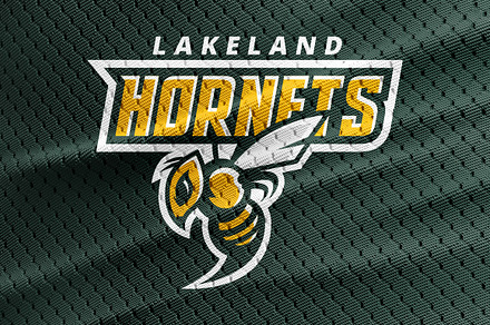 Hornets Logo
