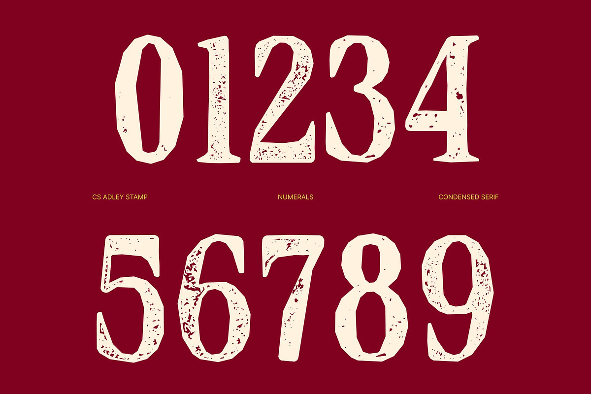CS Adley Stamp, a Serif Font by Craft Supply Co. (Photo 4 of 8)