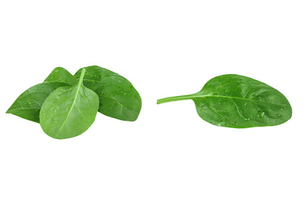 Baby spinach leaves isolated on