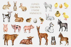 Farm Animals & Birds Hand Drawn Set