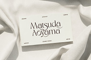 Eloires Elegant Stylish Serif Font, a Serif Font by Heinzel Std (Thumbnail 4 of 11)