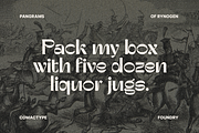 Rynogen - Decorative Typeface, a Sans Serif Font by Comactype Foundry (Thumbnail 11 of 14)