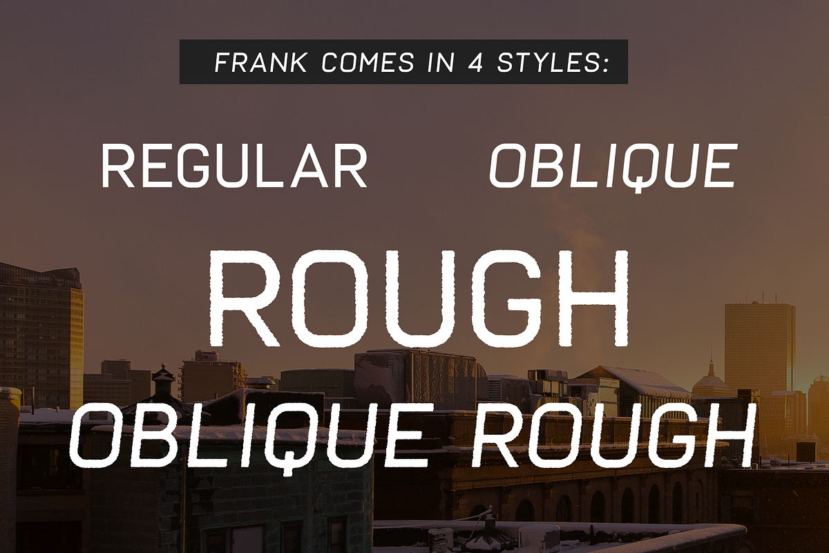Frank - Display sans with 20 fonts preview 5
