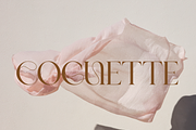 Ankadi Serif, a Serif Font by Creative Foundry (Thumbnail 4 of 8)