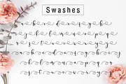 Delisha // Lovely Script Font, a Script Font by Nissa Studio (Thumbnail 15 of 16)