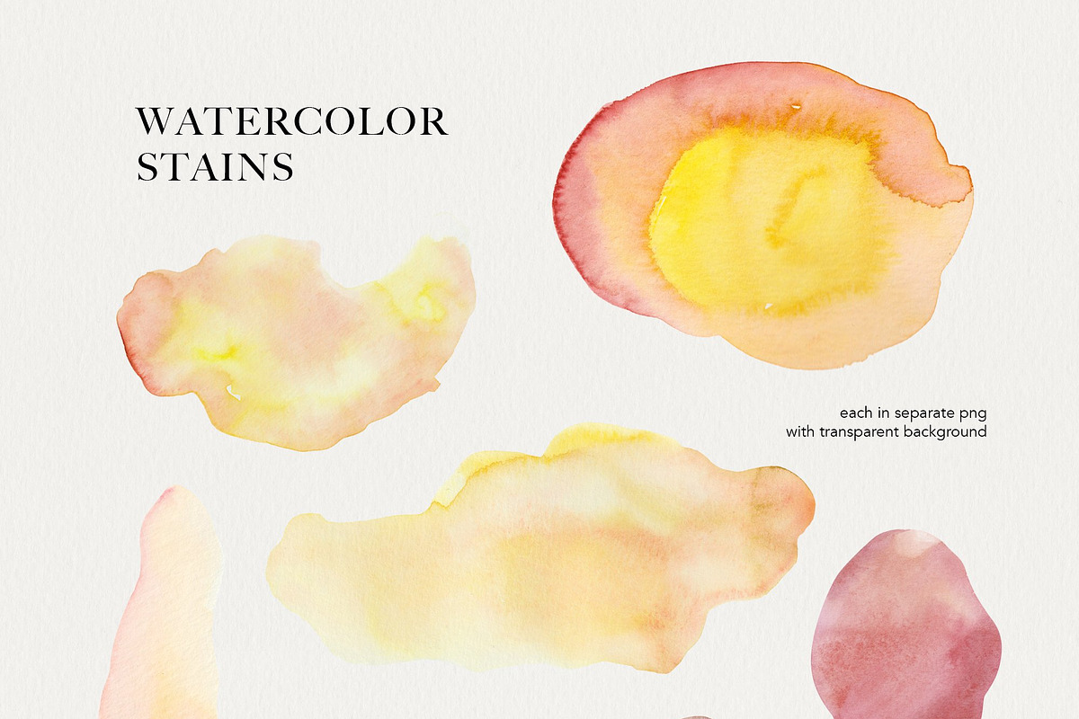 Dry boho grass and herbs watercolor, a Decorative Illustration by Volha Studio (Photo 12 of 13)