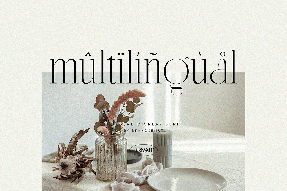 Cannia || Ligature Typeface, a Serif Font by BrandSemut (Photo 6 of 7)