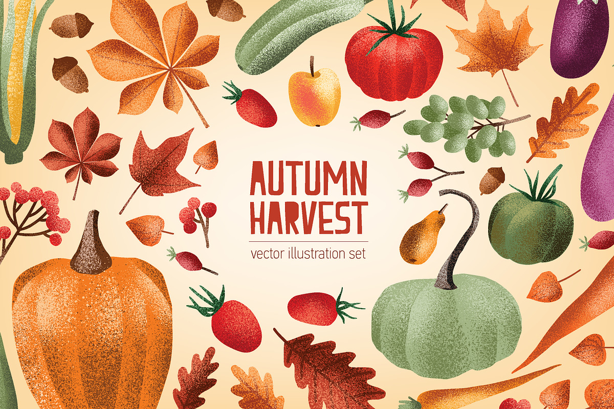 Autumn harvest textured elements, a Food Illustration by Good Studio (Photo 1 of 9)