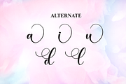 Cinderella | Script Font, a Handwritten Font by Scratchones (Thumbnail 8 of 9)