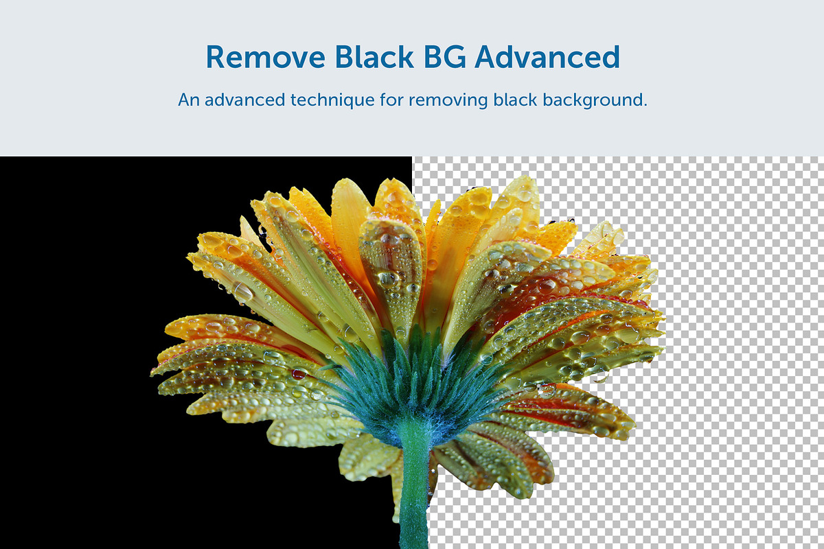 Background Removal Tools, an Action Add-On by bbtools (Photo 7 of 8)