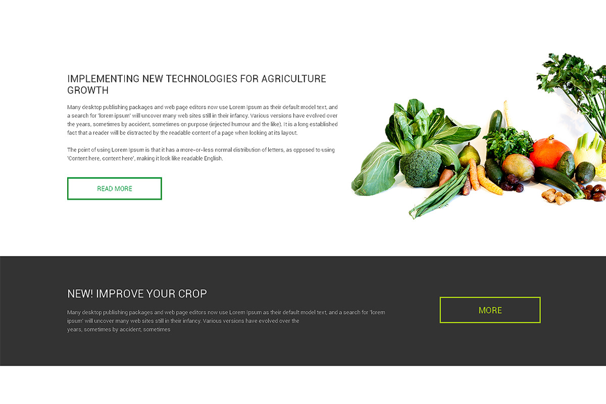 Agrolinx Responsive One Page Theme, a Landing Page Template by IceTemplates (Photo 2 of 3)