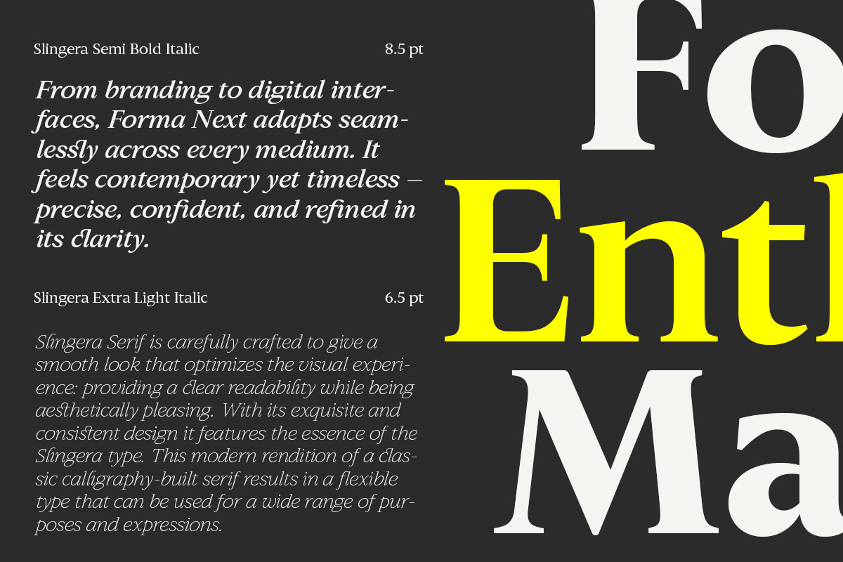 Slingera - Display Serif, a Serif Font by Attract Studio (Photo 2 of 17)