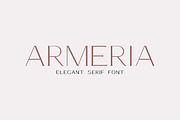 Armeria - serif font, a Serif Font by Art pages (Thumbnail 1 of 8)