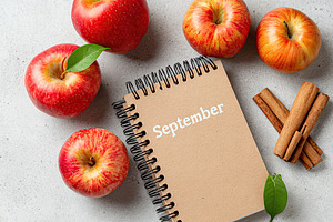 Fresh red apples with a notebook celebrating September and cinnamon on a gray s, an Abstract Photo by AlyaAnd
