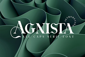 Agnista All Caps Serif Font