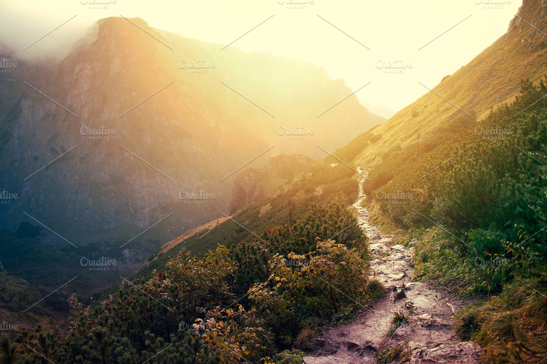 Mountains path at sunset., a Nature Photo by Milosz Aniol