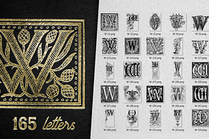 Vintage Letter W Vector And PNG