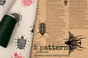 Bugs - set of PNG & EPS images, an Object Graphic by saturday.sketch (Thumbnail 4 of 6)