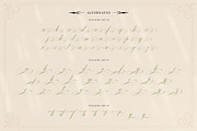 Mollani Nature Script, a Script Font by alit design (Thumbnail 15 of 20)