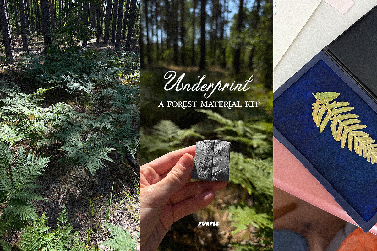 Leaf Imprints, Forest Scans & Paper, an Object Graphic by Purple (Photo 19 of 20)