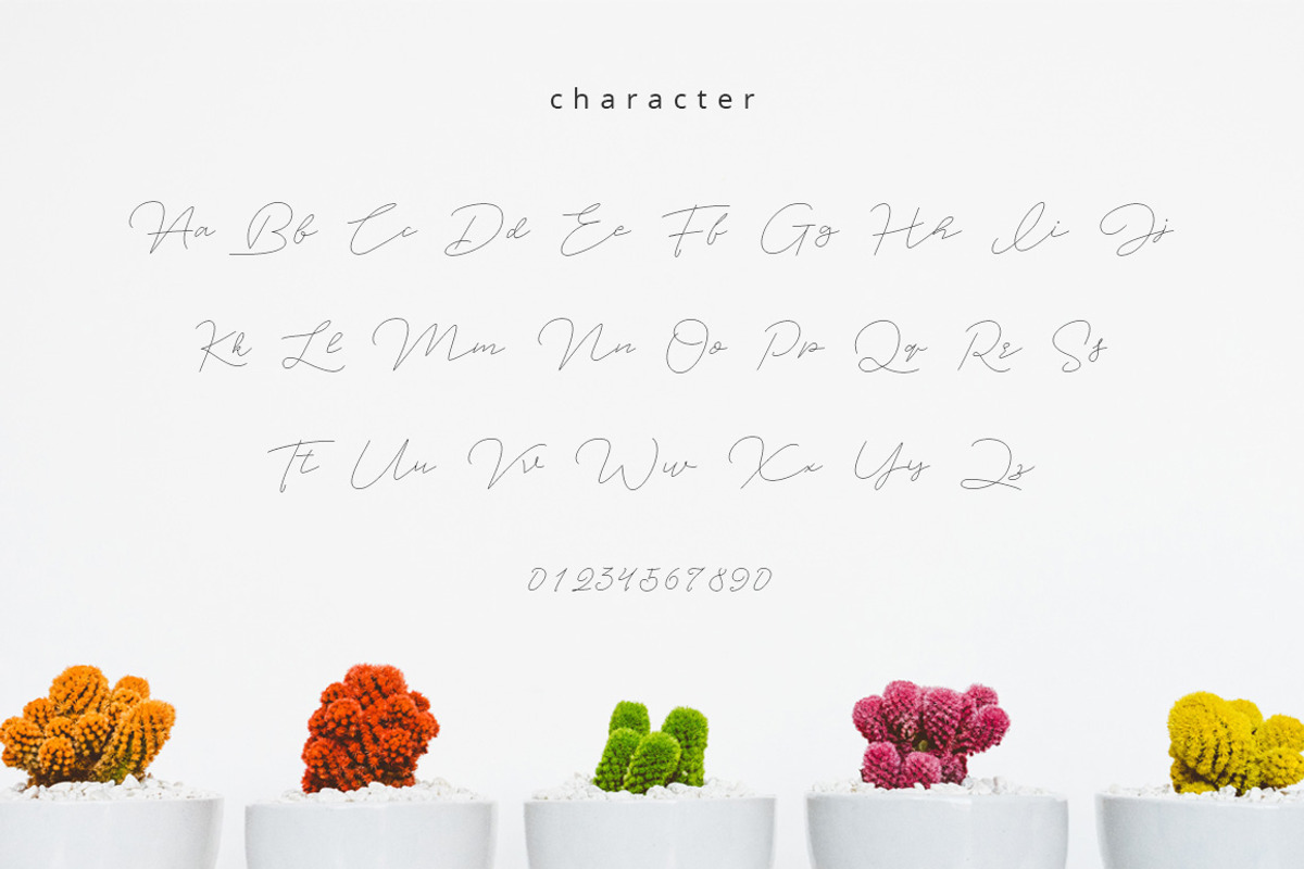 Jet Seat Script preview 7